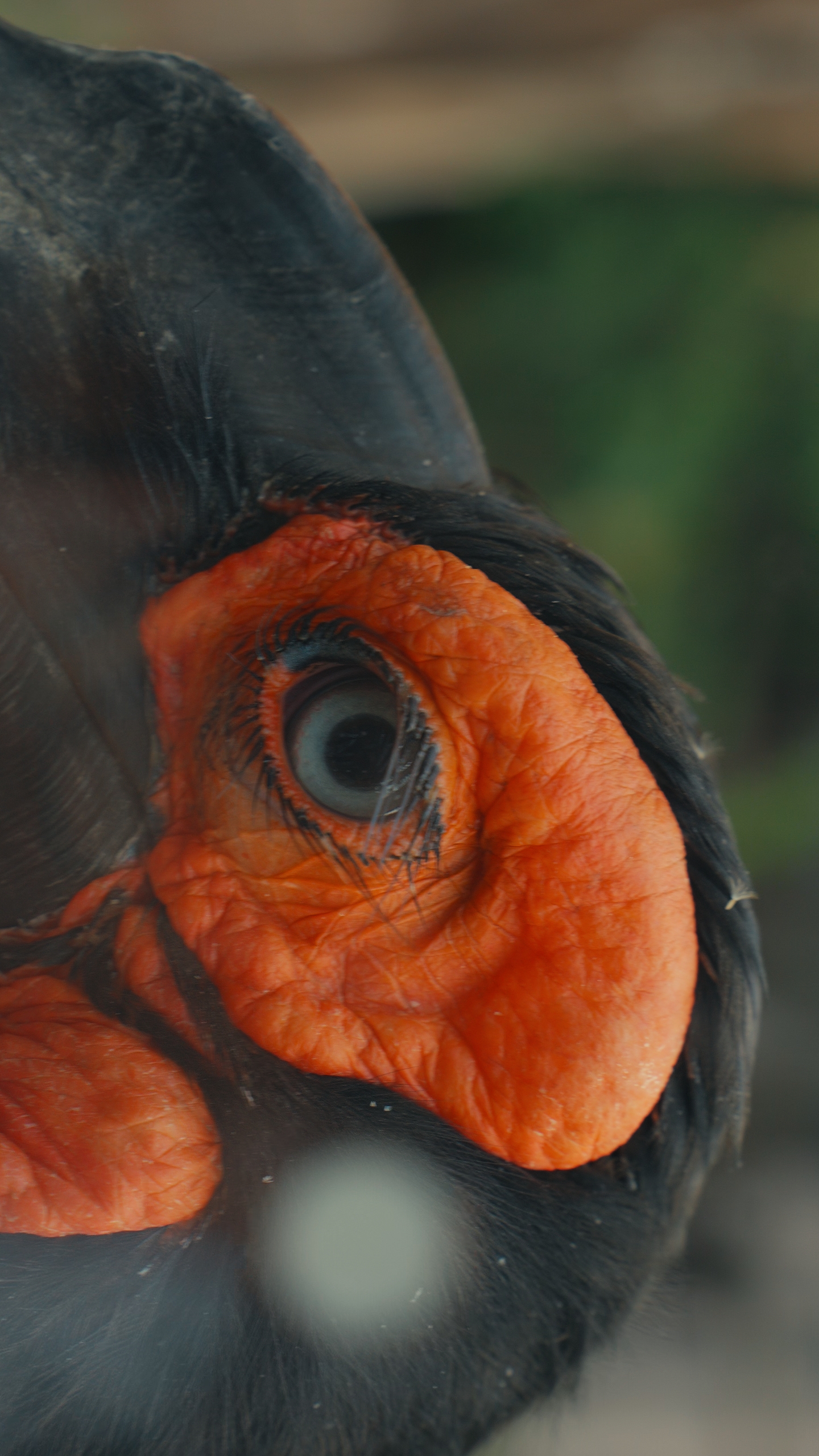 ZOO WROCLAW Frame At 0m23s 1.11.1